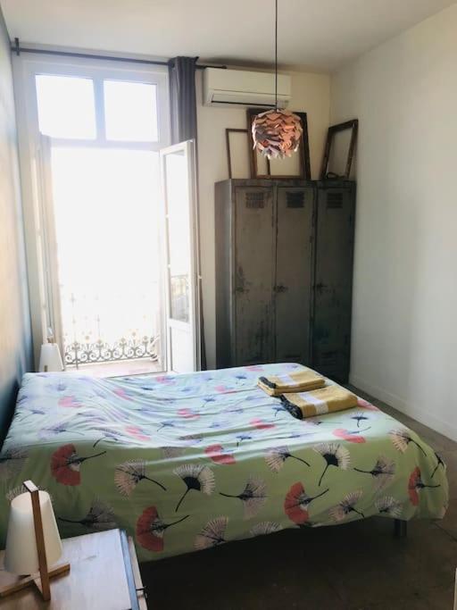 Appartement Climatise 50M2 Une Chambre Proche Centre Et Gare 蒙彼利埃 外观 照片