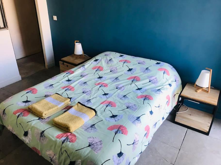 Appartement Climatise 50M2 Une Chambre Proche Centre Et Gare 蒙彼利埃 外观 照片