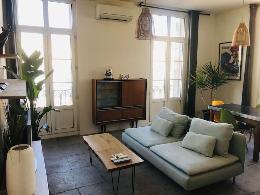Appartement Climatise 50M2 Une Chambre Proche Centre Et Gare 蒙彼利埃 外观 照片